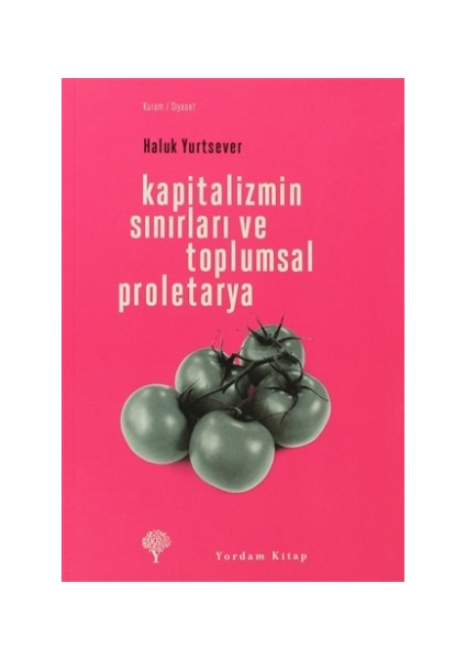 Kapitalizmin Sınırları ve Toplumsal Proletarya