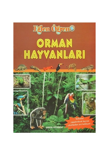 Orman Hayvanları