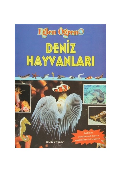 Deniz Hayvanları