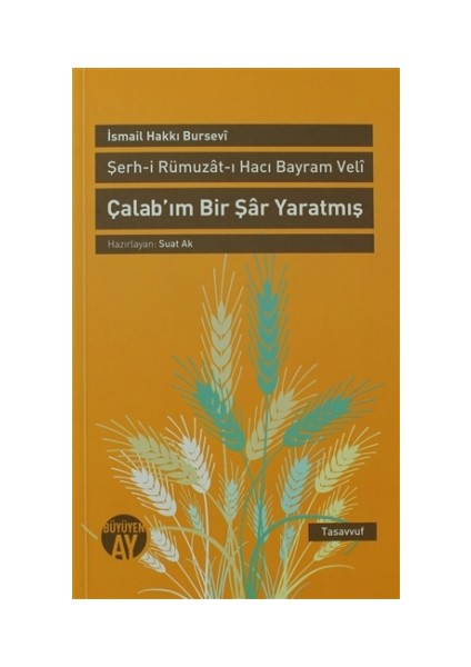 Şerh-i Rümuzat-ı Hacı Bayram Veli  - Çalab’ım Bir Şar Yaratmış