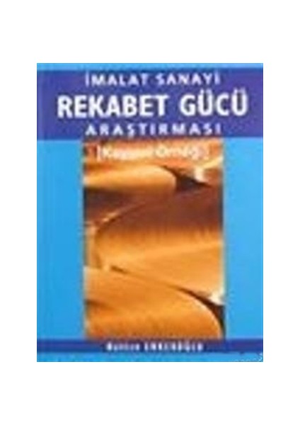 İmalat Sanayi Rekabet Gücü Araştırması Kayseri Örneği