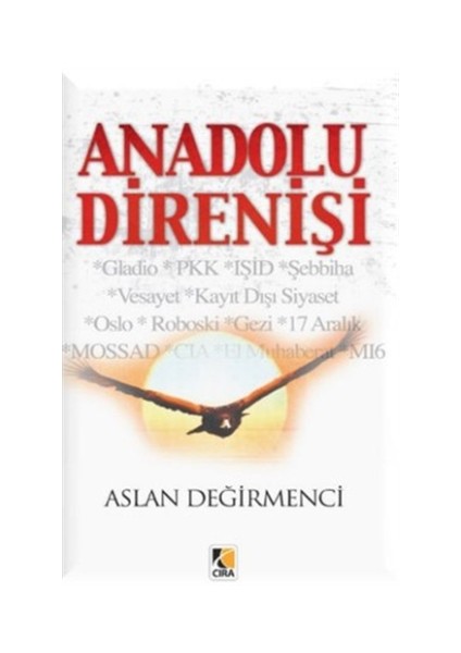 Anadolu Direnişi