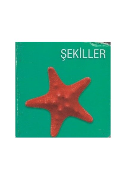 Şekiller