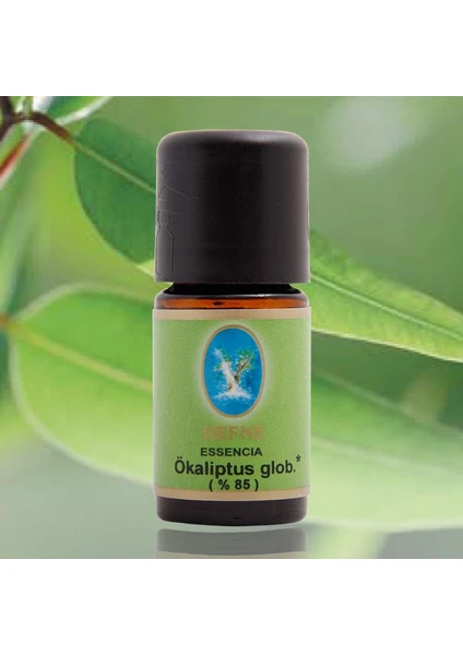 Nuka Okaliptus 10 Ml Globus* %85 Aromatik Cilt Bakım Ökaliptus