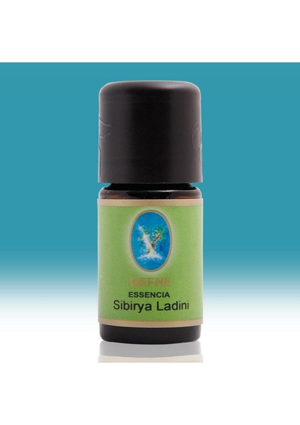 Nuka Sibirya Ladini Yağı 10 Ml Aromatik Cilt Bakım Ve Masaj Ladin