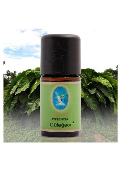 Nuka Defne Gülağacı Yağı 5 Ml Aromatik Cilt Bakım Nuka Yağ