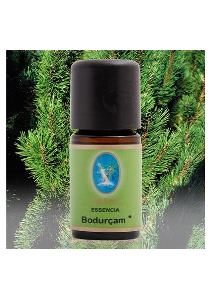Nuka Defne Bodur Çam Yağı 5 Ml Aromatik Cilt Bakım Nuka Yağ