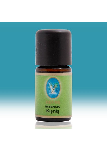 Nuka Defne Kişniş Yağı 5 Ml Aromatik Cilt Bakım Ve Masaj Yağı