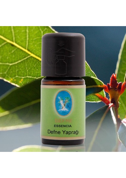 Nuka Defne Yaprağı 10Ml Aromatik Cilt Bakım Masaj Yağı Defne Yağı