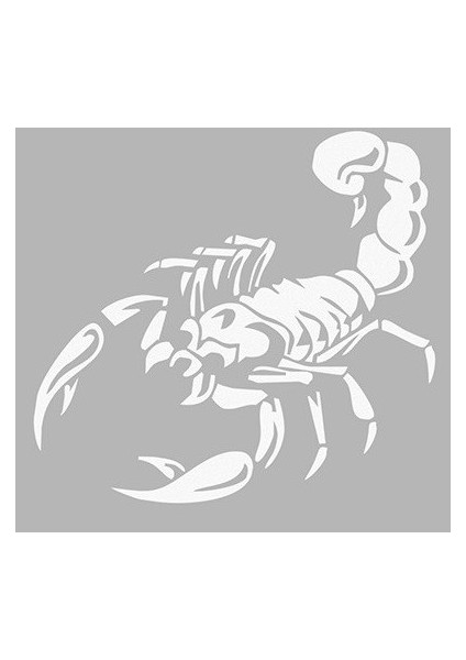 Akrep Deseni Sticker Yapıştırması