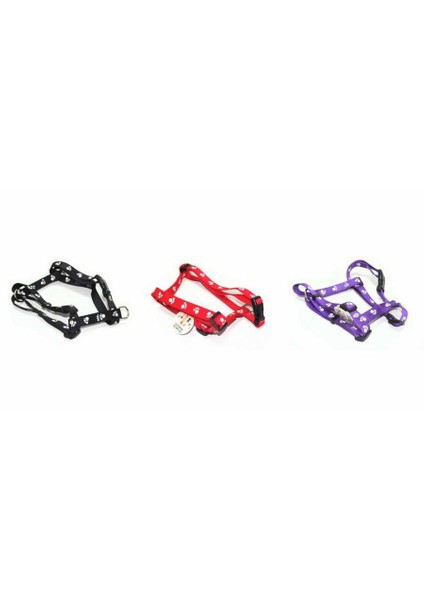 WonderfullPet St1210 Boyun/Beden Tasması