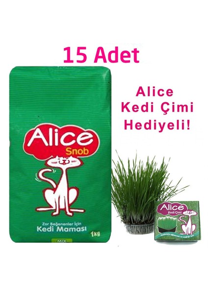 Snob Kedi Maması 15x1 Kg ve Kedi Çimi