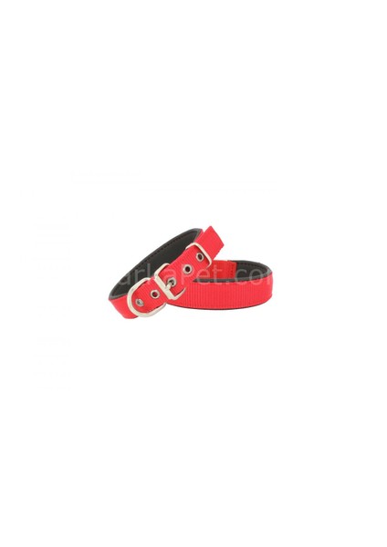 Comfort Köpek Boyun Tasma 2,5*50 cm Medium