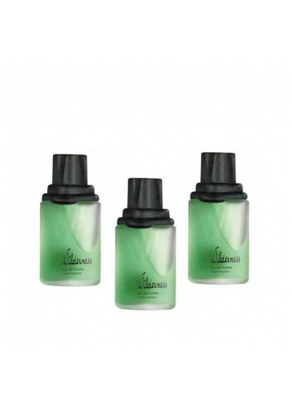 Wilderness Edt 100 Ml Erkek Parfüm 3 Adet