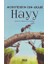 Hayy - Muhyiddin İbn Arabi 1