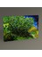 Tablo360 Vincent Van Gogh Leylaklar Tablo 45 x 30 1