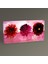 Tablo360 Dahlias Vermillion Tablo 60 x 30 1