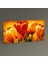 Tablo360 Orange Tulips Tablo 60 x 30 1