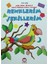 Renklerim Şekillerim 1