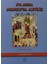 16. Asırda Anadolu'da Alevilik (Kapak Değişebilir) 1
