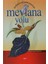 Mevlana Yolu 1