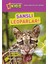 Şanslı Leoparlar 1