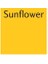 Letraset Promarker Y156 Sunflower 1