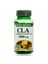Cla 1000 Mg 50 Kapsül 1