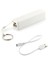 Taşınabilir Şarj Cihazı Power Bank (2600 mAh) 1