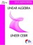 Linear Algebra - Lineer Cebir 1