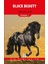 Black Beauty - Stage 1 1