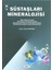 Süstaşları Mineralojisi 1