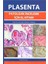 Plasenta Patolojik İnceleme İçin El Kitabı 1