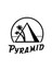 Gitar Aksesuar Elektro Tel Pyramid 0.09 401100 2