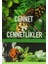 Cennet ve Cennetlikler 1