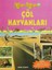 Çöl Hayvanları 1