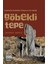 Göbekli Tepe - Levent Sepici 1