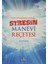 Ayet ve Hadisler Işığında Stresin Manevi Reçetesi 1