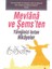 Mevlana ve Şems'ten Yüreğinizi Isıtan Hikayeler 1