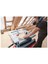 Gts 10 Xc Tezgah Tipi Daire Testere 4