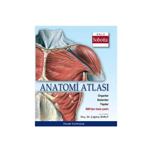 Resimli Sistematik Anatomi By Nobel Tip Kitabevi Ltd Issuu