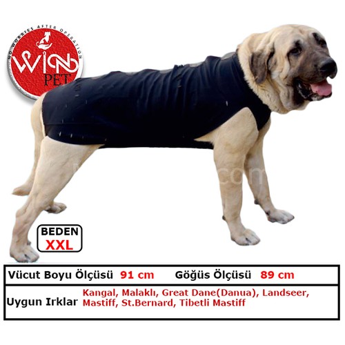 köpek katarakt ameliyatı fiyatı