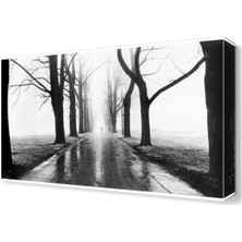 Dekor Sevgisi Bilinmez Tablo Canvas Tablo  45x30 cm