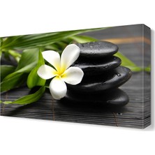 Dekor Sevgisi Masaj Taşı ve Çiçek Canvas Tablo  45x30 cm