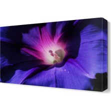 Dekor Sevgisi Mor Işıklı Çiçek Canvas Tablo  45x30 cm
