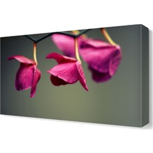 Dekor Sevgisi Pembe Yapraklı Çiçek Canvas Tablo  45x30 cm