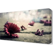 Dekor Sevgisi Yerdeki Çiçekler Tablosu 45x30 cm