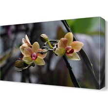 Dekor Sevgisi Küçük Güzel Çiçek Tablosu 45x30 cm