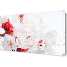 Dekor Sevgisi Sevimli Çiçek Tablosu 45x30 cm