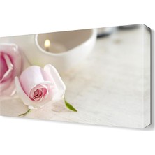 Dekor Sevgisi Toz Pembe Gül Tablosu 45x30 cm